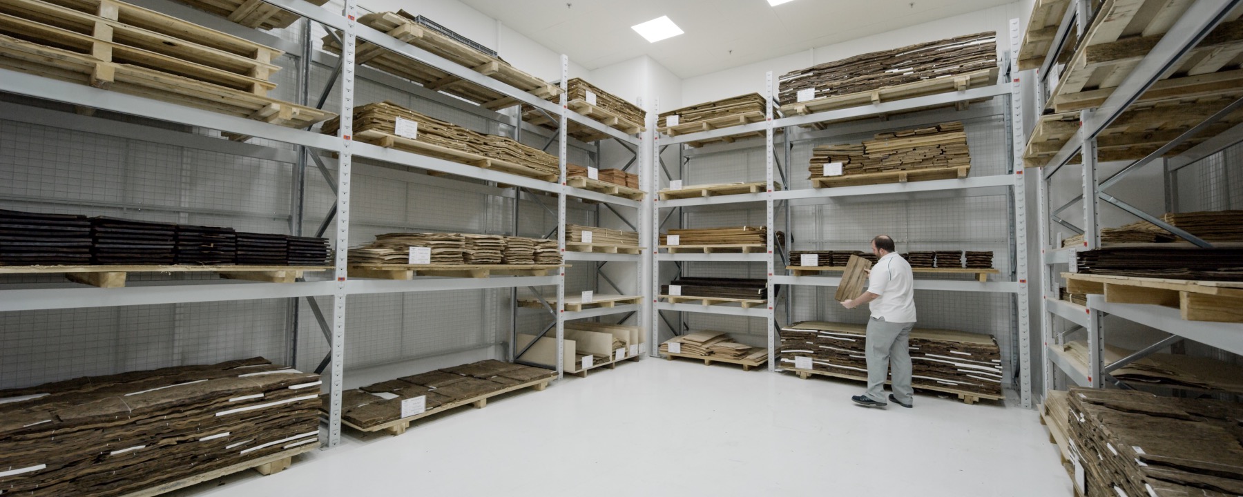 Liquid Amber Media 1