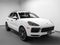2023 Porsche Cayenne S Platinum Edition
