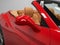 2010 Ferrari California Base