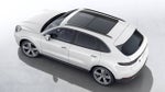 2023 Porsche Cayenne Cayenne Platinum Edition (MY23)
