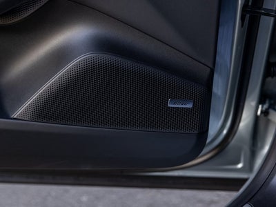 2025 Porsche Macan Macan Electric