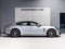 2023 Porsche Panamera Panamera 4 Platinum Edition