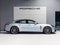 2023 Porsche Panamera Panamera Platinum Edition