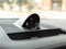 2023 Porsche Panamera Panamera Platinum Edition
