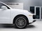 2023 Porsche Cayenne Cayenne Platinum Edition (MY23)