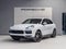2023 Porsche Cayenne Cayenne Platinum Edition (MY23)
