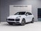 2023 Porsche Cayenne Cayenne Coupe Platinum Edition