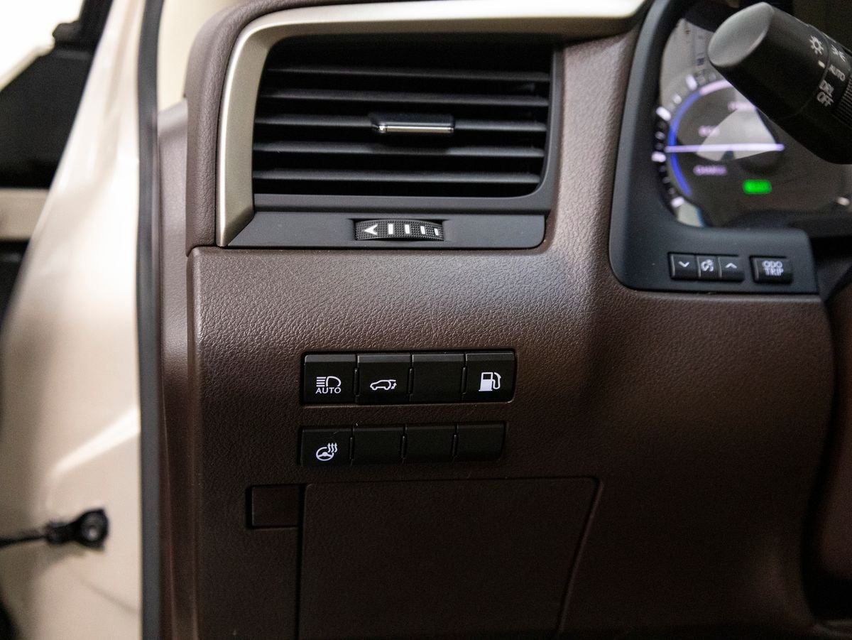 2019 Lexus RX 450h 450h