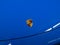 2023 Porsche 911 911 Turbo S Cabriolet (MY23)