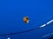 2023 Porsche 911 911 Turbo S Cabriolet (MY23)