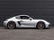 2022 Porsche 718 Cayman GTS 4.0