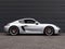 2022 Porsche 718 Cayman GTS 4.0