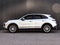 2025 Porsche Cayenne Cayenne