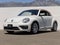 2019 Volkswagen Beetle Convertible 2.0T SE
