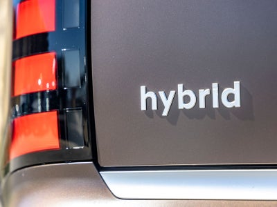 2027 Hyundai Palisade Hybrid Calligraphy