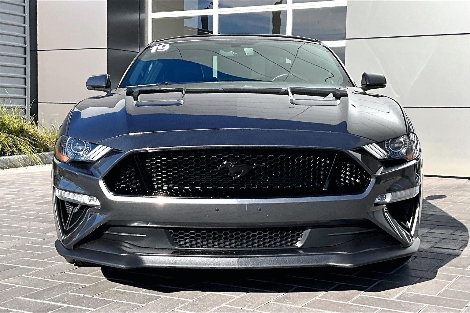2019 Ford Mustang GT Premium