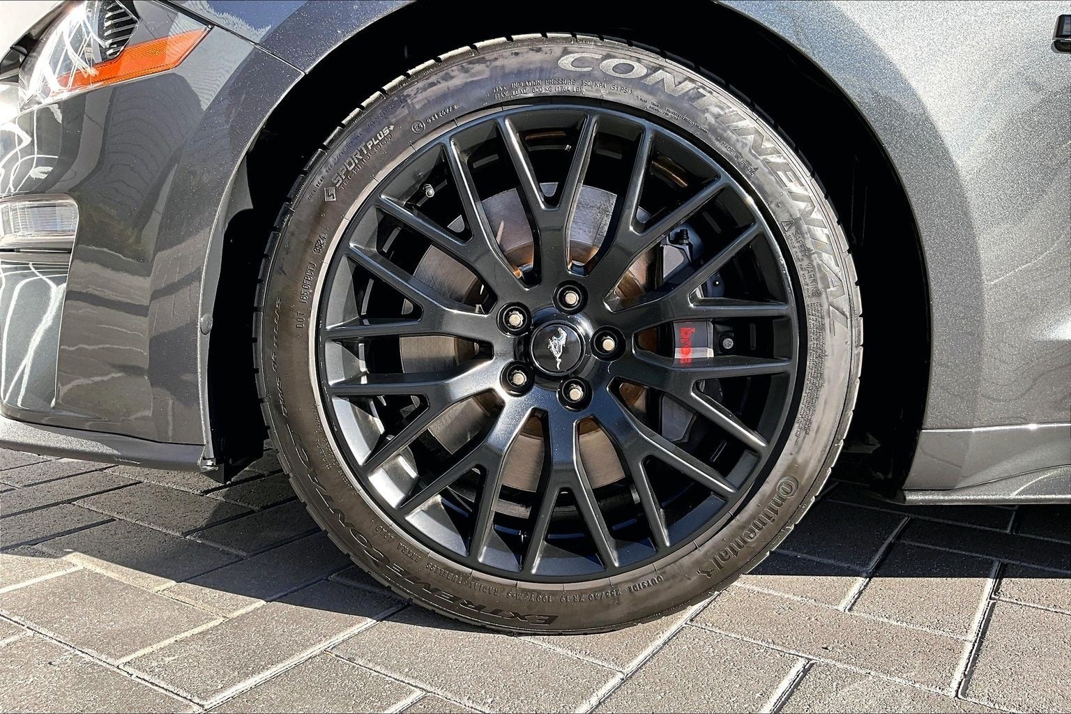 2019 Ford Mustang GT Premium