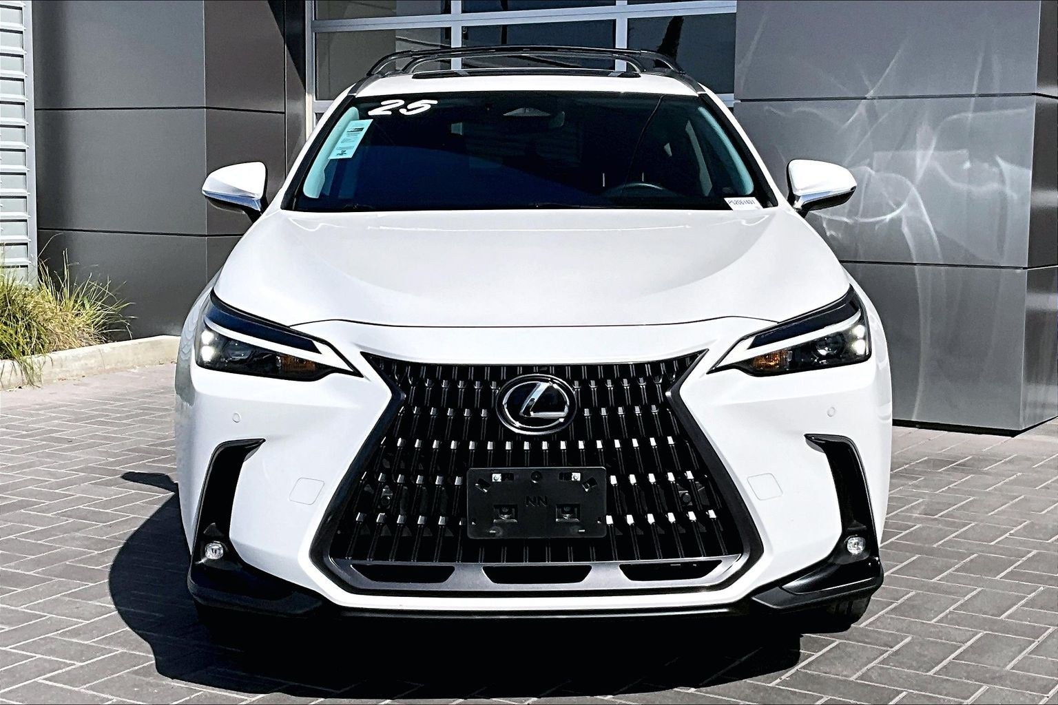 2025 Lexus NX 350h Premium