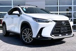 2025 Lexus NX 350h Premium