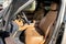2024 Land Rover Range Rover SE