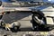 2026 Land Rover Range Rover Evoque S
