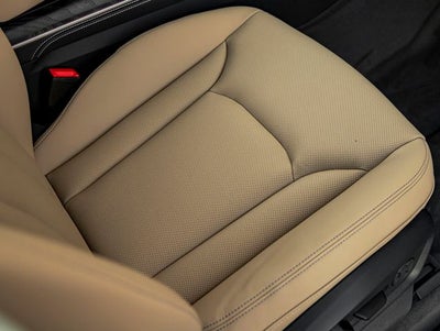 2026 Audi Q8 55 Premium Plus quattro