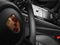 2026 Porsche Panamera 4