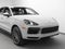 2023 Porsche Cayenne Cayenne Platinum Edition (MY23)