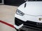 2024 Lamborghini Urus S