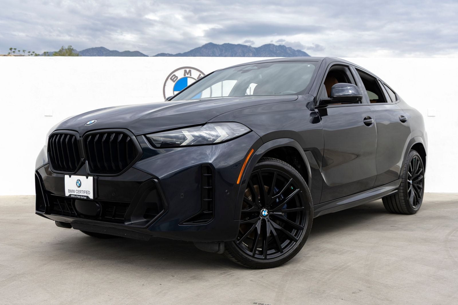 2024 BMW X6 xDrive40i