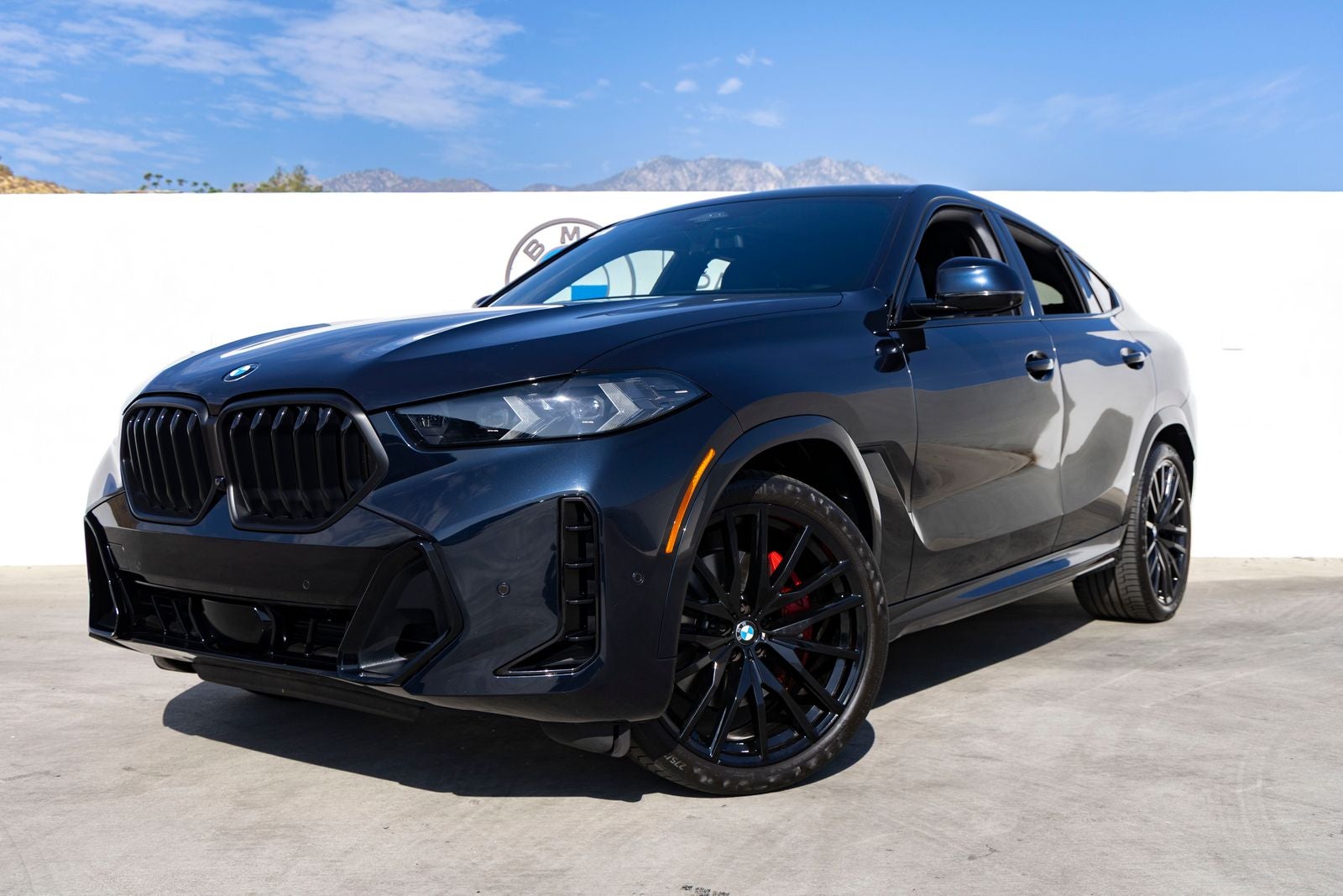 2024 BMW X6 xDrive40i
