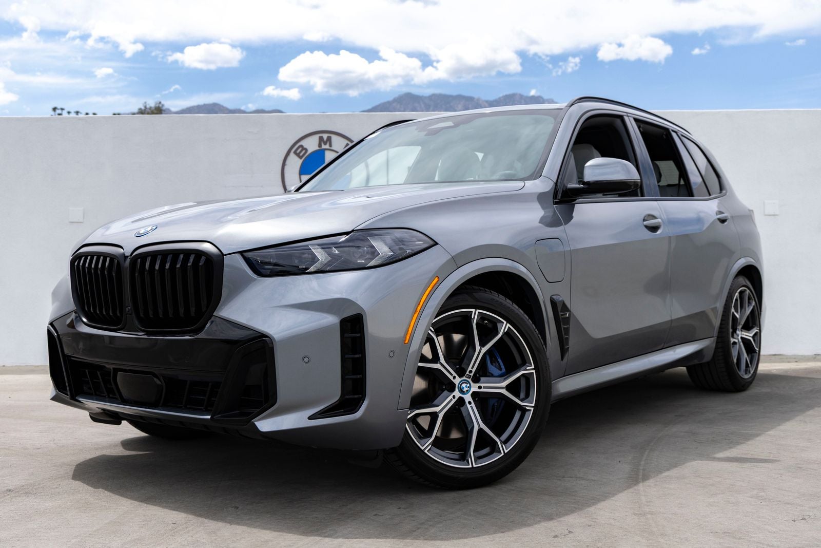 2024 BMW X5 xDrive50e