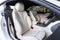 2023 BMW 840i 840i
