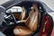 2026 BMW Z4 sDrive30i