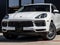 2023 Porsche Cayenne Cayenne Platinum Edition (MY23)