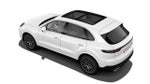2021 Porsche Cayenne Cayenne (MY21)
