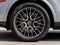 2021 Porsche Cayenne Cayenne