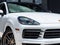2023 Porsche Cayenne S Coupe Platinum Edition
