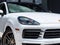 2023 Porsche Cayenne S Coupe Platinum Edition