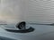 2026 Porsche Taycan Black Edition