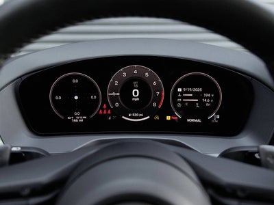 2024 Porsche Panamera Panamera 4 (MY24)