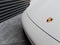 2023 Porsche Taycan Taycan 4S