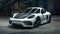 2024 Porsche 718 718 Cayman GT4 RS (MY24)