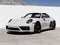 2024 Porsche 911 911 Targa 4 GTS (MY24)