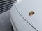 2026 Porsche Macan Macan Electric