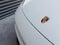 2026 Porsche Macan Macan Electric