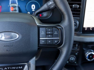 2025 Ford F-250SD Platinum