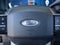 2025 Ford F-250SD Platinum