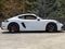 2021 Porsche 718 718 Cayman GTS 4.0