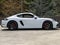2021 Porsche 718 718 Cayman GTS 4.0